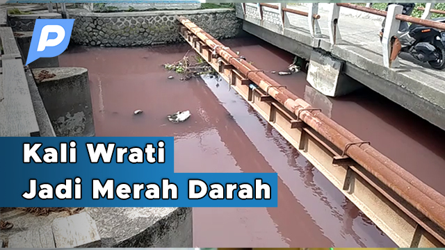 Tercemar Limbah Sungai Wrati Jadi Merah Darah Wartabromo TV