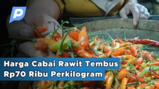 Usai Kedelai, Giliran Harga Cabai Mulai Meroket | Pasuruan Hari Ini