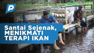 Santai Sejenak, Menikmati Terapi Ikan di Sumber Sentong Jrebeng