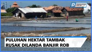 Puluhan Hektar Tambak di Probolinggo Rusak Dilanda Banjir Rob