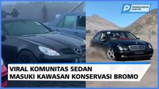 Viral Komunitas Sedan Mewah Masuki Kawasan Konservasi Bromo