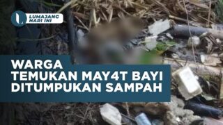 Warga Temukan May4t Bayi Ditumpukan Sampah Sungai Bondoyudo