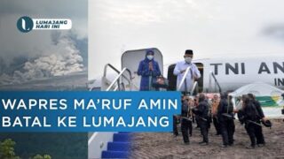 Aktivitas Semeru Meningkat, Wapres Ma’ruf Amin Batal ke Lumajang