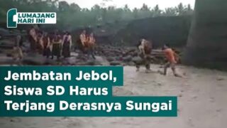 Jembatan Putus, Perjuangan Siswa SD Berangkat Sekolah | Lumajang Hari Ini