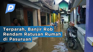 Terparah, Banjir Rob Rendam Ratusan Rumah di Pasuruan