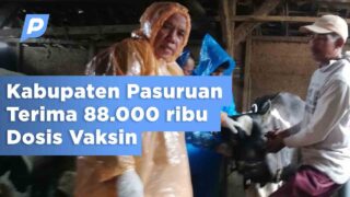 Pemerintah Beri 88.000 Dosis Vaksin PMK untuk Kabupaten Pasuruan