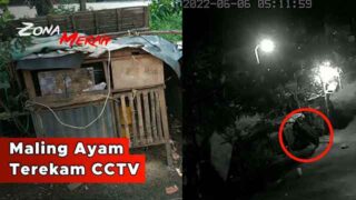 Maling Ayam di Rejoso Terekam CCTV