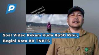 Video Rekam Kuda Rp50 Ribu Viral, BB TNBTS Buka Suara