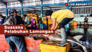 Suasana di Pelabuhan Perikanan Lamongan