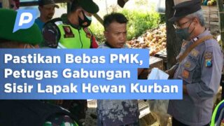 Datangi Lapak Penjual Hewan Kurban, Petugas Gabungan Pastikan Bebas PMK