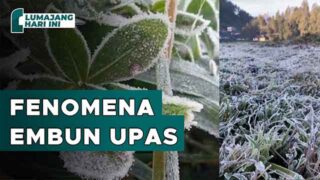 Brrrr! Ranupani Diselimuti Es