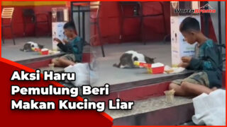 Haru, Anak Pemulung Ini Berbagi Makanan dengan Kucing Jalanan