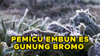 Ada Fenomena Embun Es di Bromo dan Ranupani, Kok Bisa Ya?