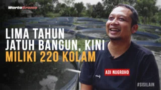 Berhenti Jadi Karyawan Farmasi, Sukses Budidaya Bibit Ikan Nila