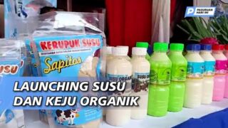 Launching Keju dan Susu Organik