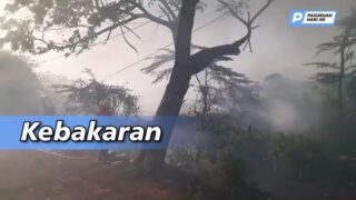 Kebakaran Lahan Gambut di Depan Pom Bensin Kraton