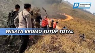 Bukit Teletubbies Terbakar, Wisata Bromo Ditutup Total