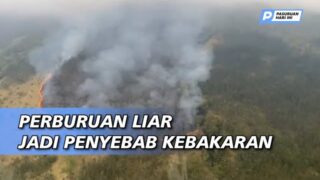 Gubernur Sebut Pemburu Liar Jadi Penyebab Kebakaran Arjuno