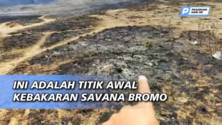 Melihat Langsung Titik Awal Kebakaran Bromo