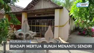 Mertua Biadab, Menantu Sendiri Dibunuh