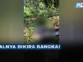 Penemuan Mayat Bayi di Mojokopek, Gegerkan Warga Rembang