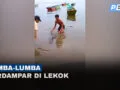 Dua Lumba Lumba Terdampar di Pantai Pasir Panjang