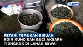 Petani Temukan Ribuan Koin Kuno dan Guci Tiongkok di Tutur